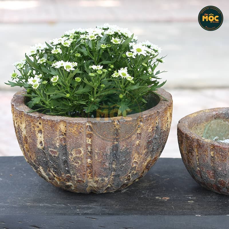 3171 Atlantic Chậu Khía Men Lòng 21x21x12